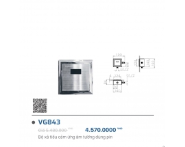 XẢ TIỂU CẢM ỨNG VIGLACERA VG843