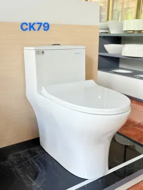 BỒN CẦU KHỐI THIÊN THANH EVEREST CK79 NẮP ÊM