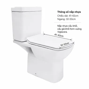 NẮP ÊM CẦU GIẢ KHỐI VIGLACERA VI6