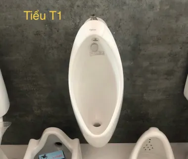 TIỂU NAM VIGLACERA T1