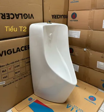 TIỂU NAM VIGLACERA T2