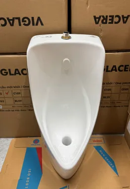 TIỂU NAM VIGLACERA T2