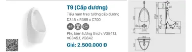 TIỂU NAM VIGLACERA T9 CẤP DƯƠNG