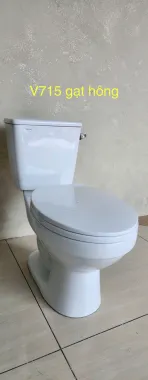 BỒN CẦU HAI KHỐI VIGLACERA V715