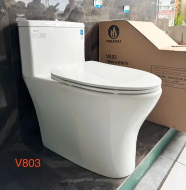 BỒN CẦU LIỀN KHỐI VIGLACERA V803 NẮP ÊM