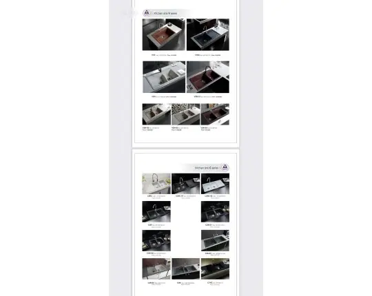 CHẬU RỬA CHÉN VIỆT MỸ 11