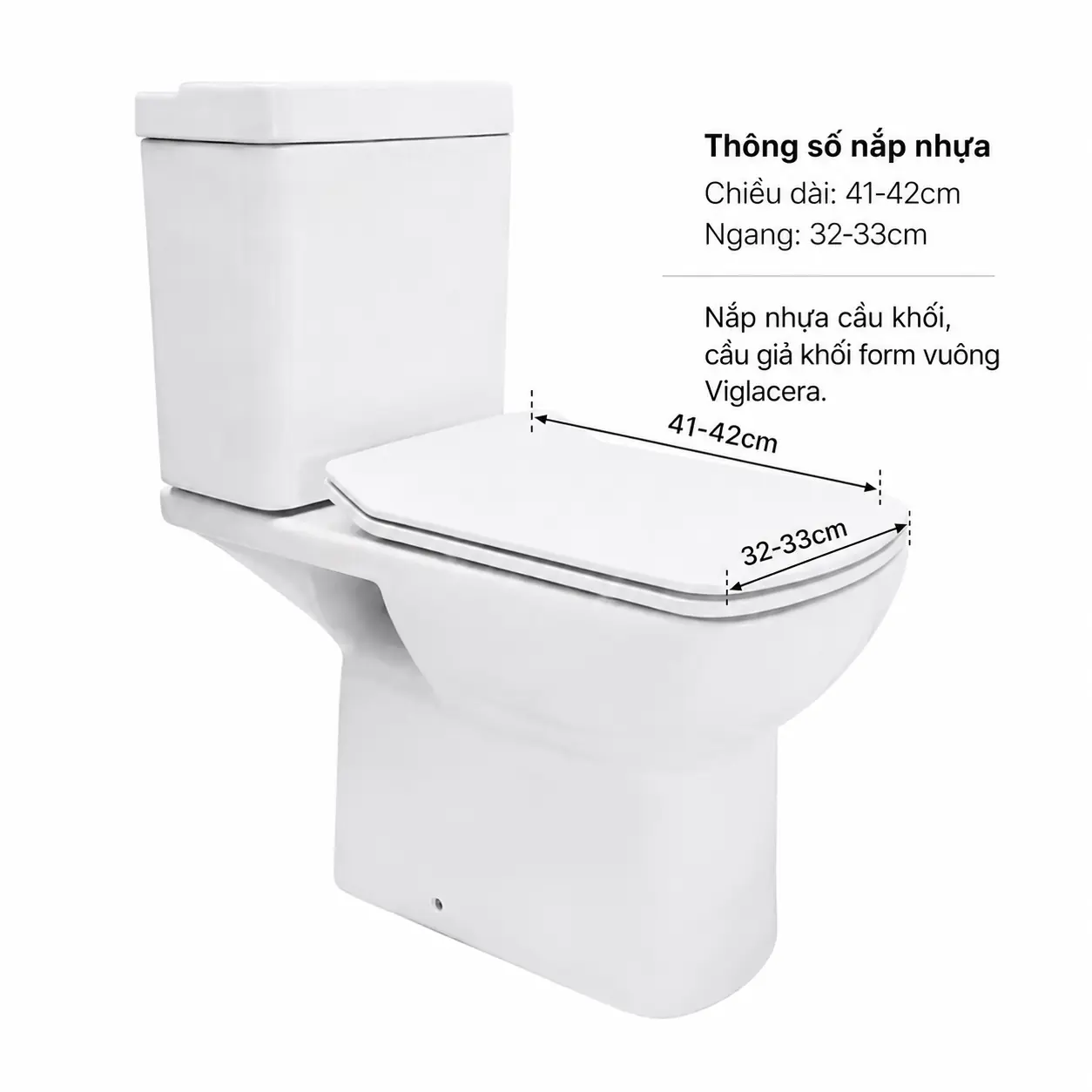 NẮP ÊM CẦU GIẢ KHỐI VIGLACERA VI6
