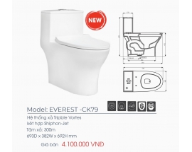 BỒN CẦU KHỐI THIÊN THANH EVEREST CK79 NẮP ÊM