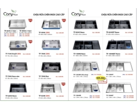 CHẬU RỬA CHÉN 