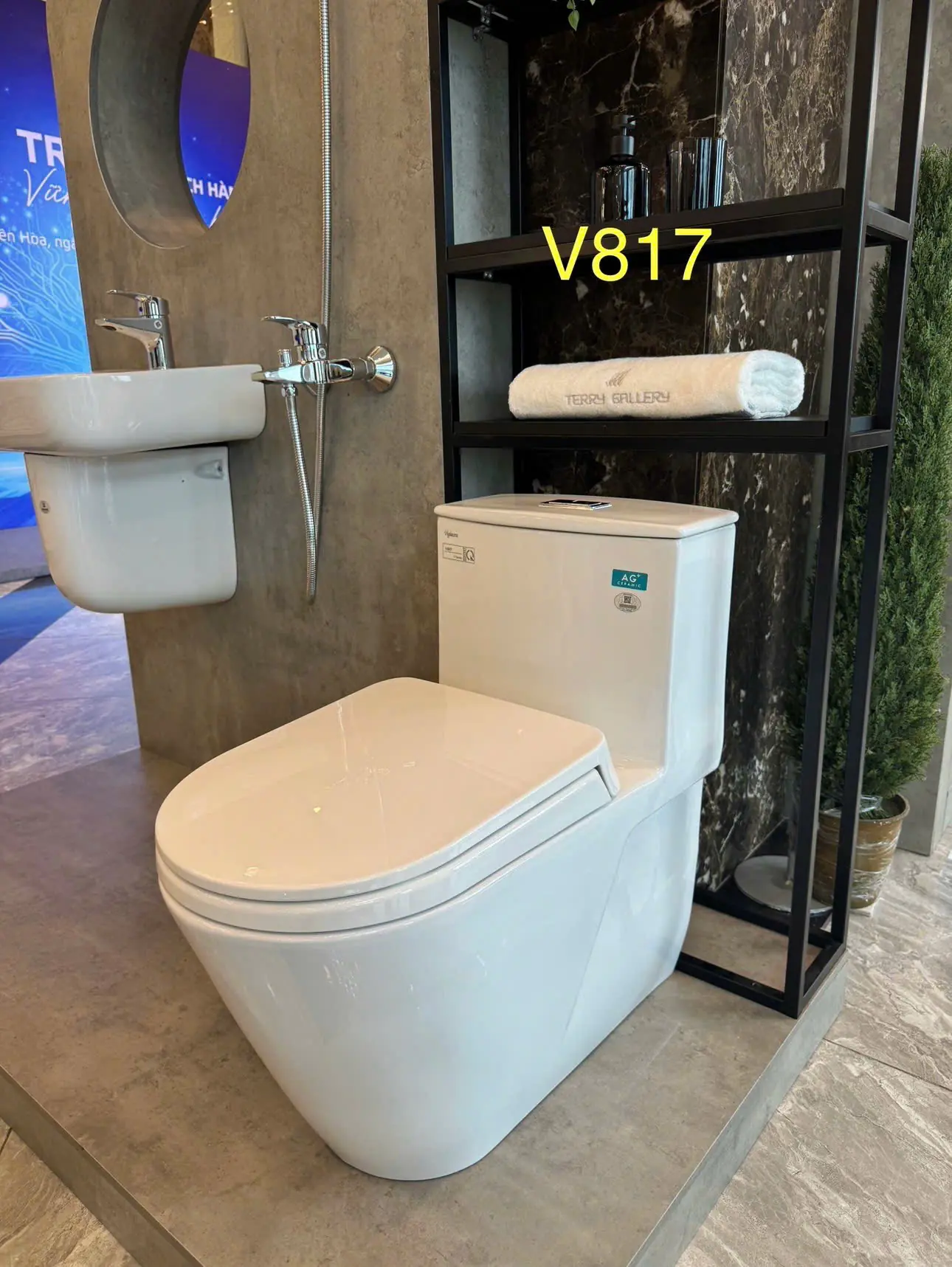 NẮP ÊM CẦU KHỐI VIGLACERA V199,V35M,V41,V817